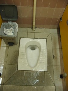 A Lovely Squat Toilet